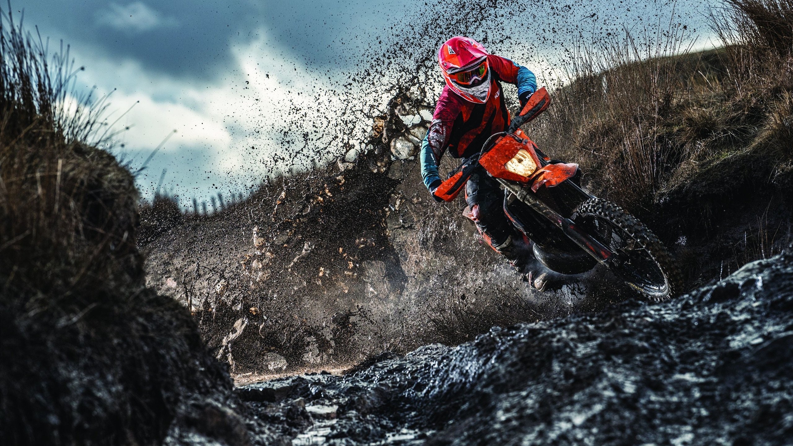 世界柔道大师赛：技术与力量的竞逐，柔道世界冠军--daria bilodid